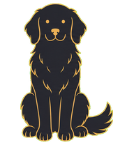 Ranga, the golden retriever guide